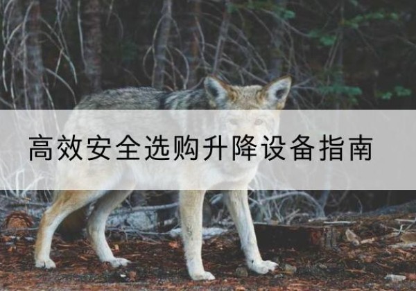 六合升降货梯厂家推荐-*安全选购升降设备指南