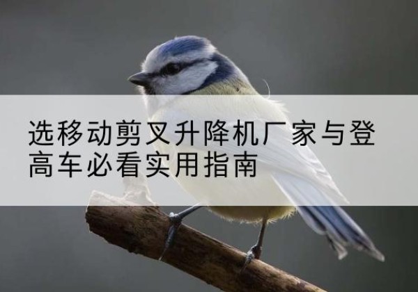 六合电动升降机厂家-选移动剪叉升降机厂家与登高车必看实用指南
